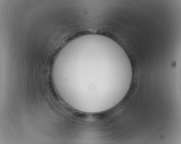 X0000114020656200910021017