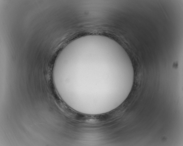 X0000114020658200910021017