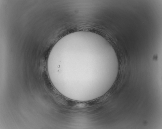 X0000114020659200910021017