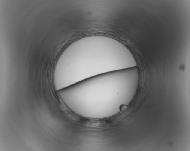 X0000114020661200910021017