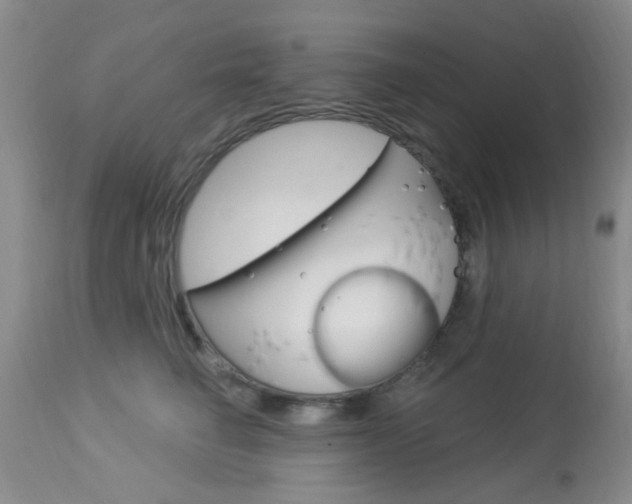 X0000114020662200910021017