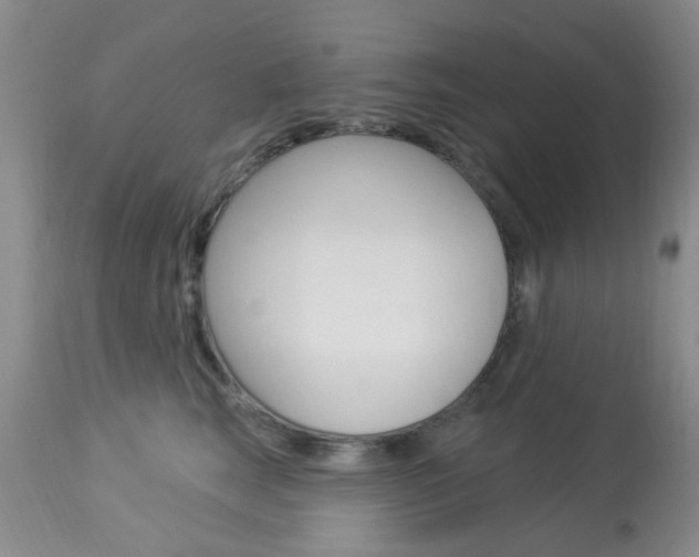 X0000114020663200910021017