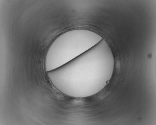 X0000114020668200910021017