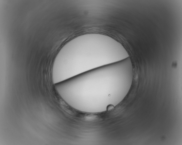 X0000114020669200910021017