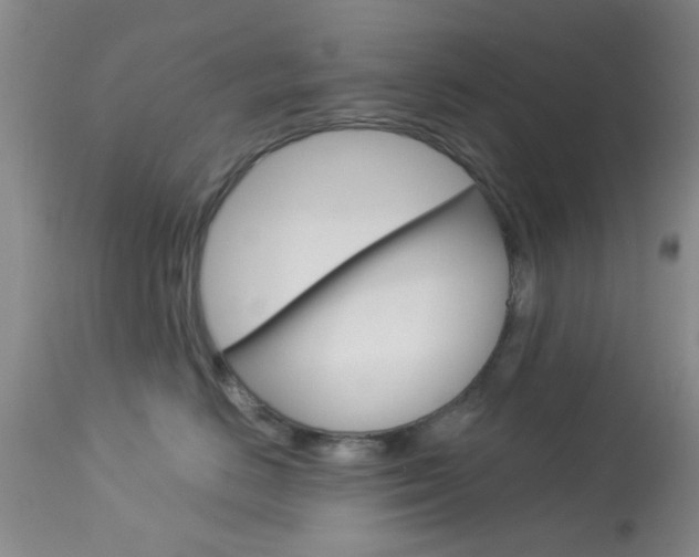 X0000114020670200910021018