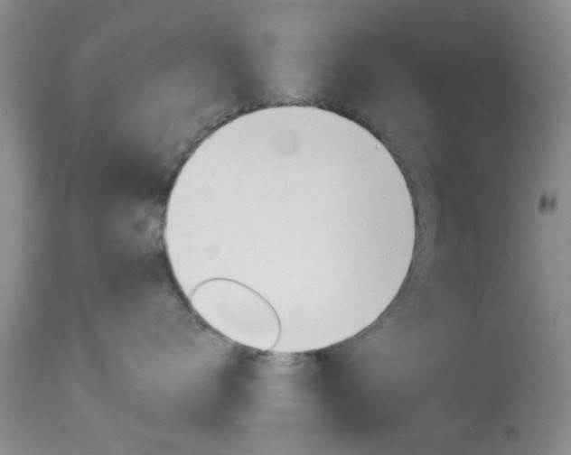 X0000114020672200910021018