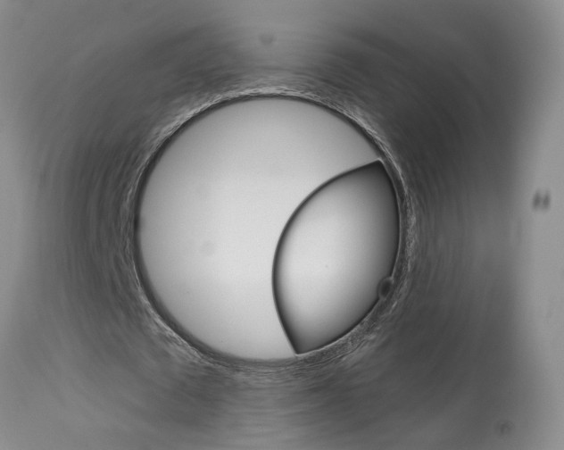 X0000114020673200910021017