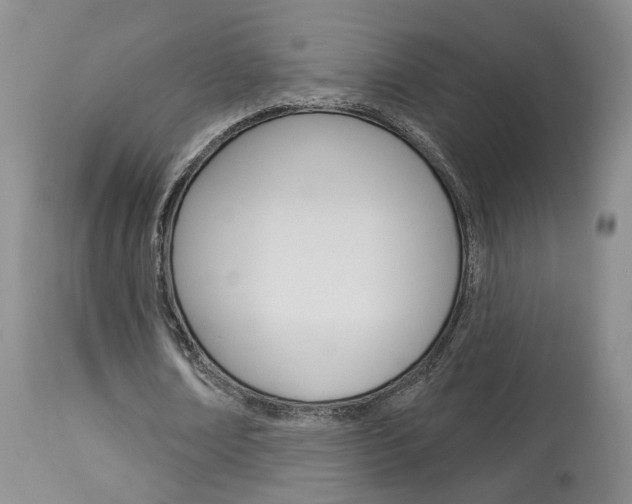 X0000114020674200910021017