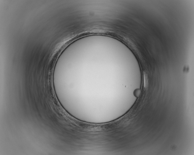X0000114020675200910021017