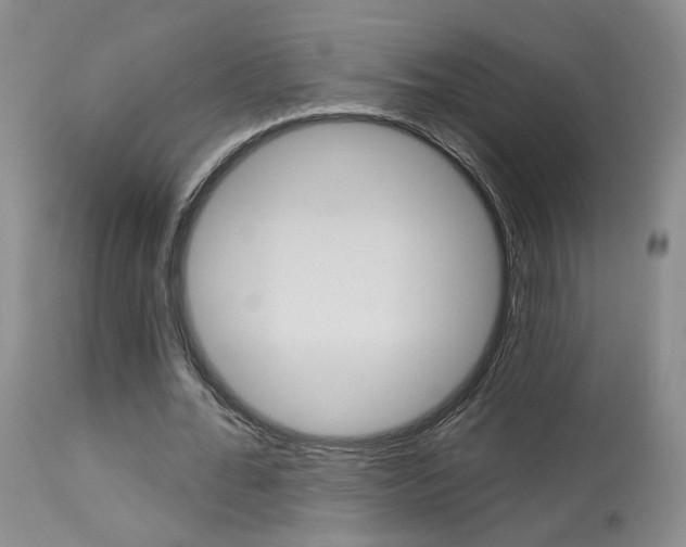X0000114020676200910021017