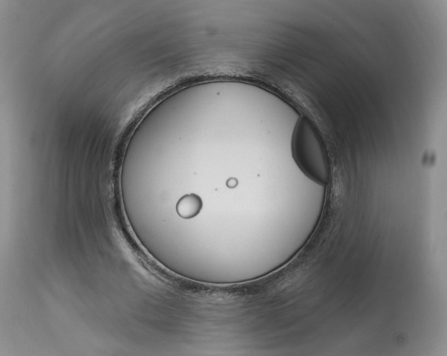 X0000114020677200910021017