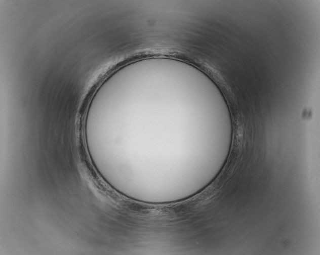 X0000114020678200910021017