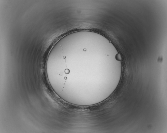 X0000114020683200910021017