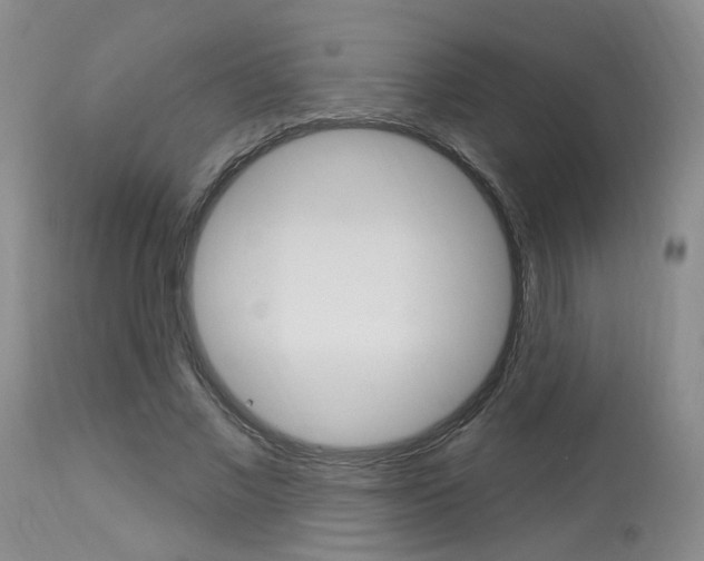X0000114020685200910021017