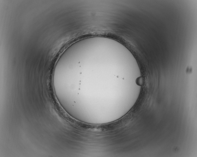 X0000114020687200910021017