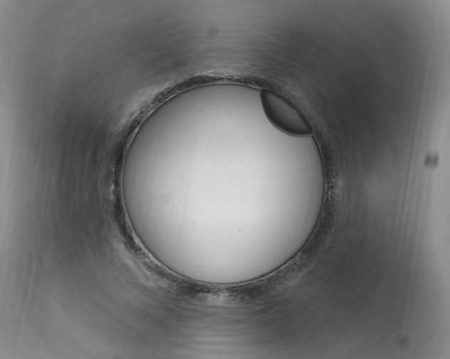 X0000114020688200910021016