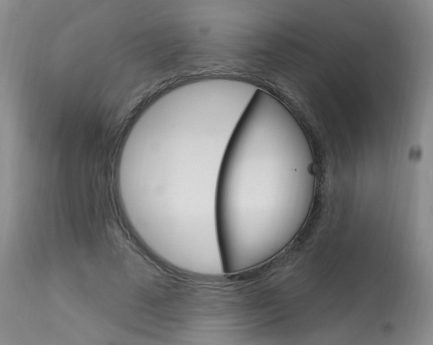 X0000114020689200910021016