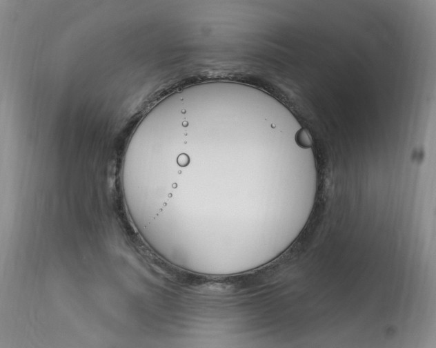 X0000114020691200910021016