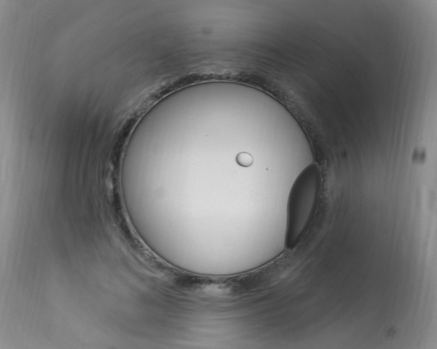 X0000114020692200910021016