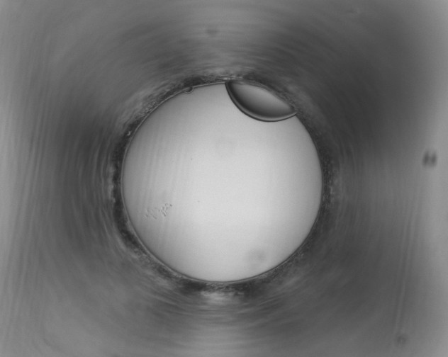 X0000114020693200910021016