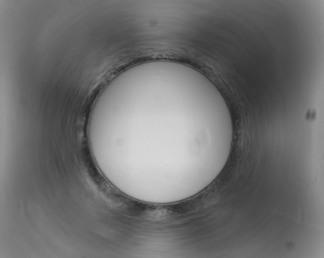 X0000114020695200910021016