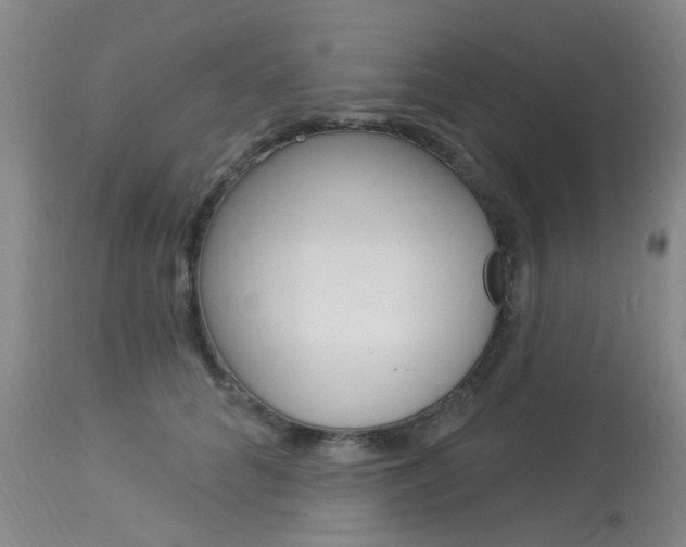 X0000114020704200910021016