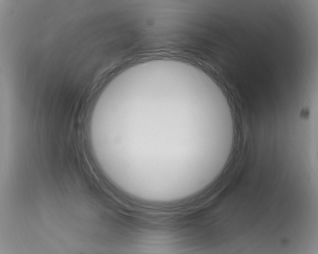X0000114020705200910021016