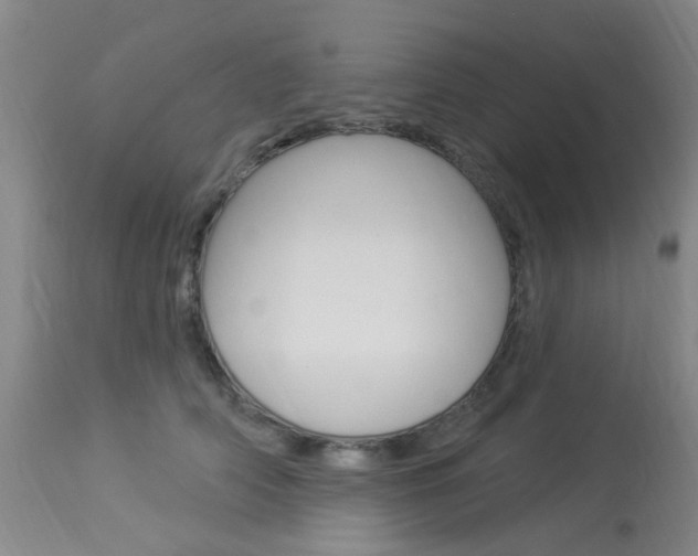 X0000114020706200910021016