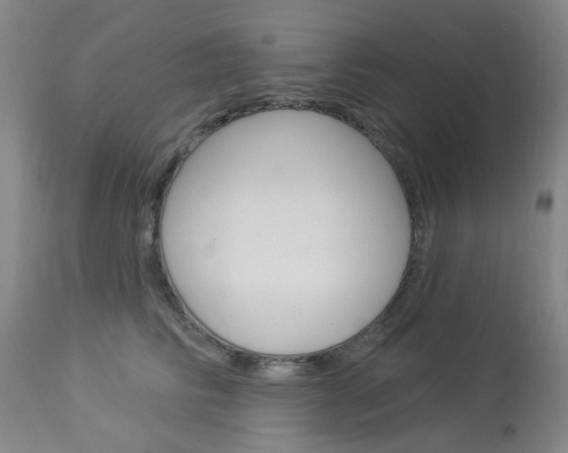 X0000114020710200910021016