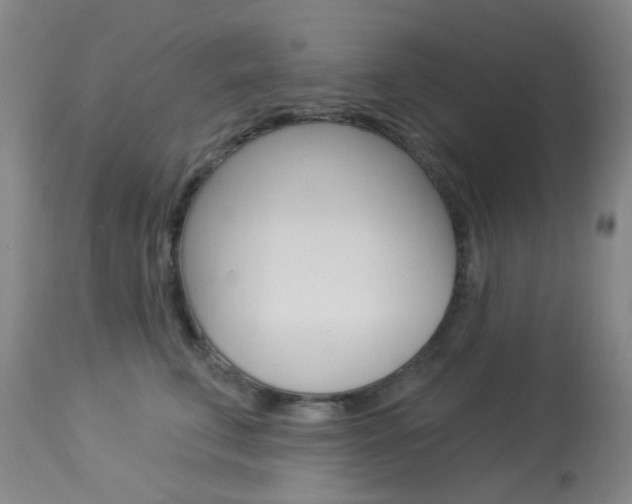 X0000114020711200910021016