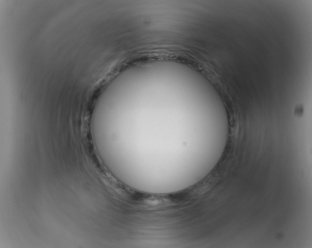 X0000114020712200910021016
