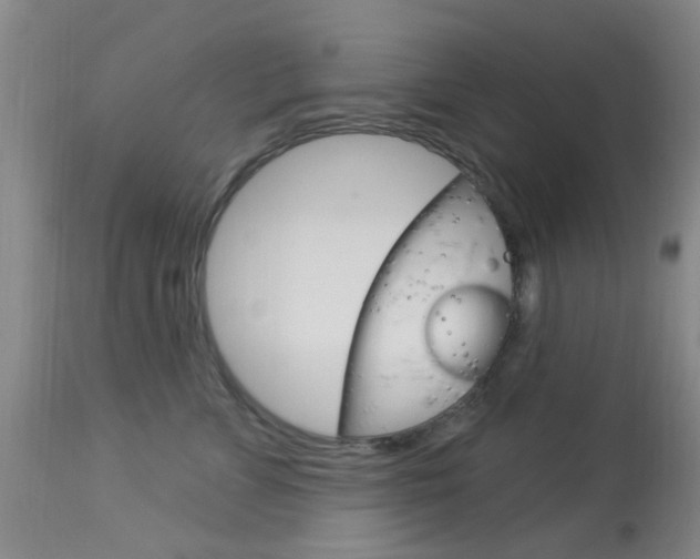 X0000114020715200910021016