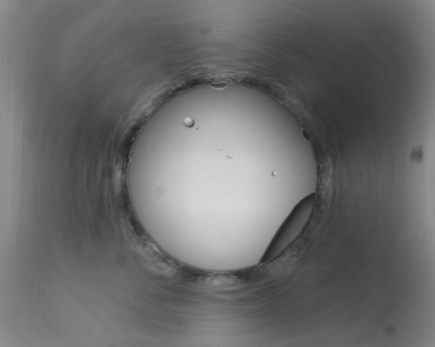 X0000114020716200910021016