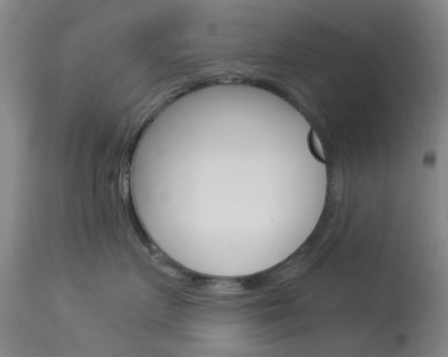 X0000114020719200910021016