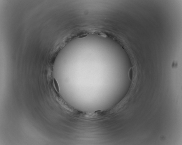 X0000114020720200910021016