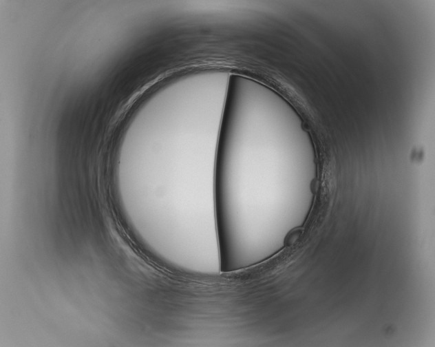 X0000114020722200910021015