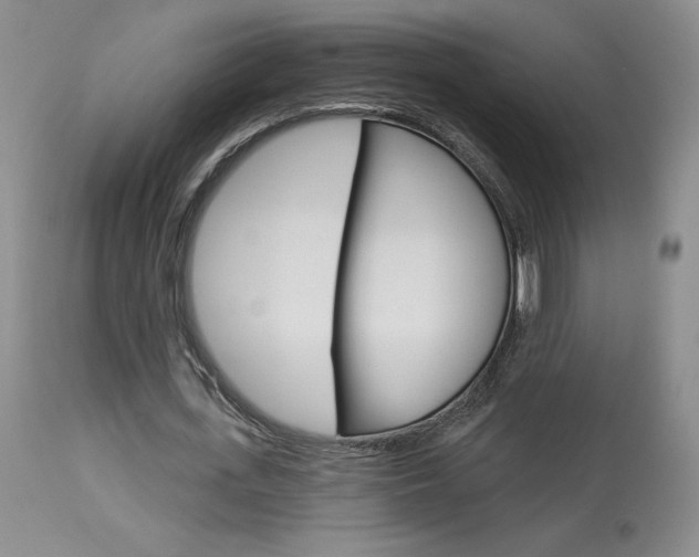 X0000114020723200910021015
