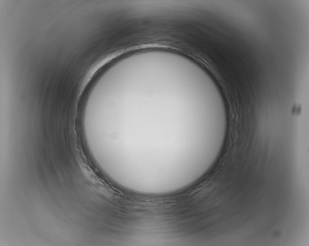 X0000114020724200910021015
