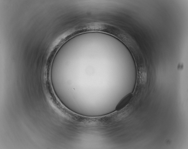X0000114020726200910021015