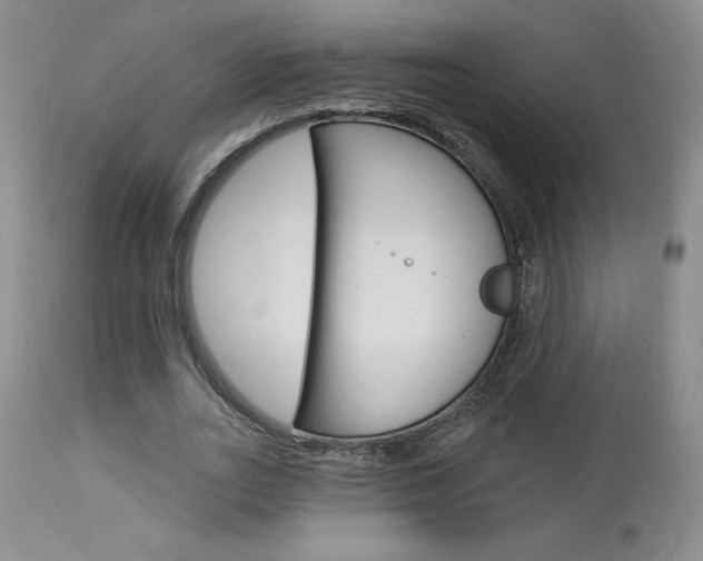 X0000114020727200910021015