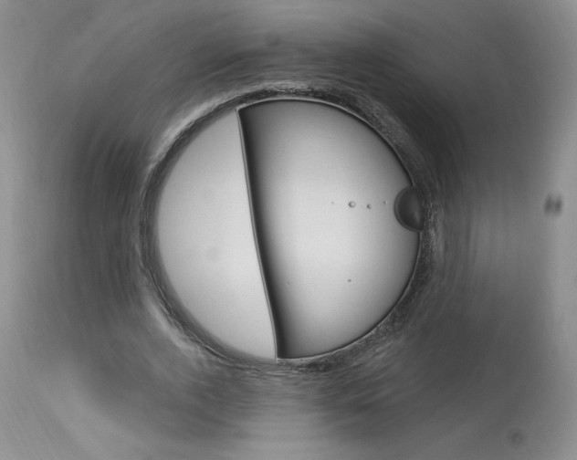 X0000114020728200910021015