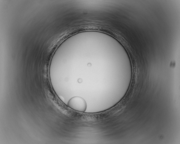 X0000114020729200910021016