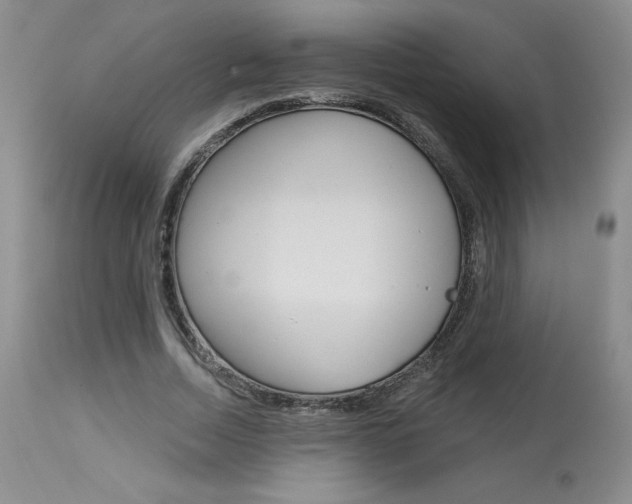 X0000114020730200910021016