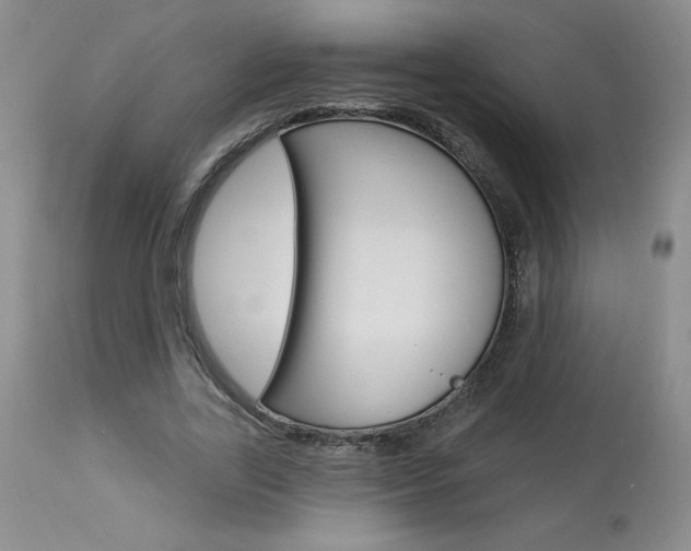 X0000114020731200910021016