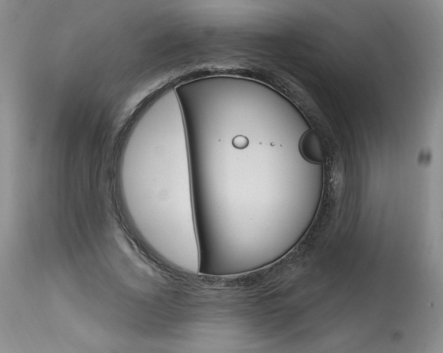 X0000114020732200910021016