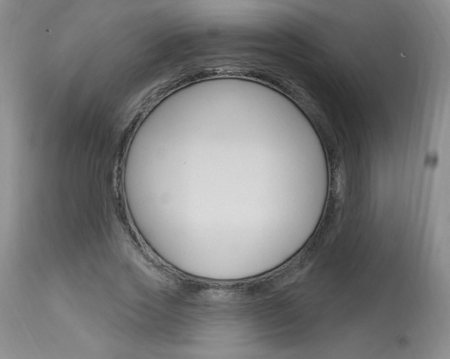 X0000114020733200910021016