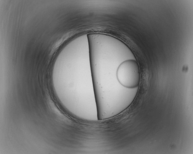 X0000114020734200910021016