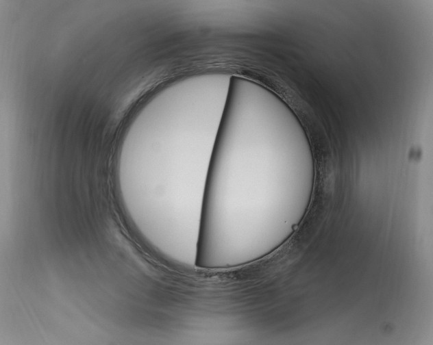 X0000114020735200910021016