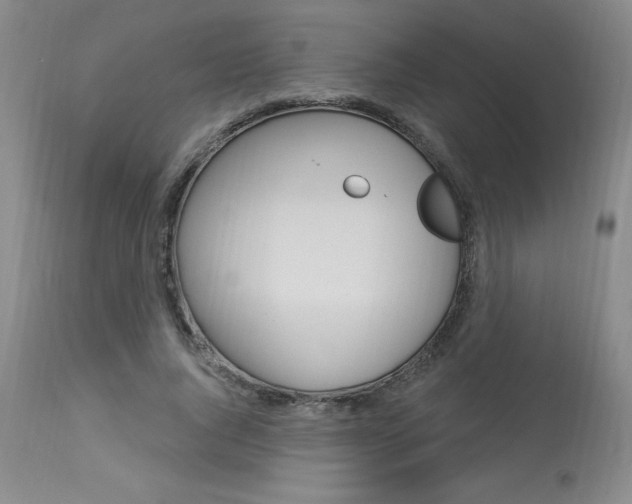 X0000114020736200910021016