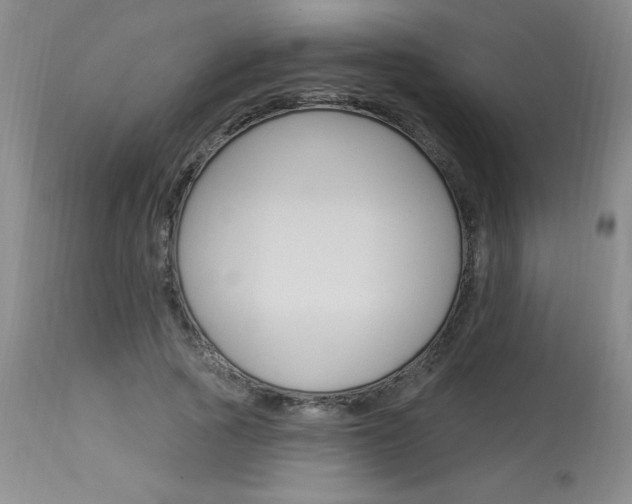 X0000114020737200910021016